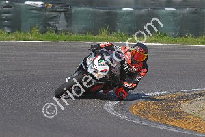 Z91_5216.JPG