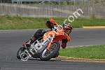 Z91_0546