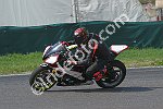 Z91_4366